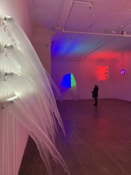 feldmangallery