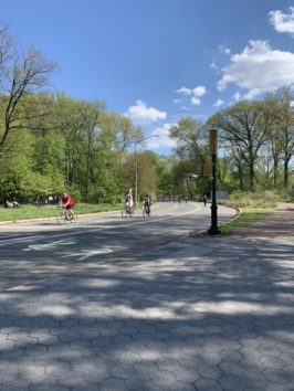 prospect park