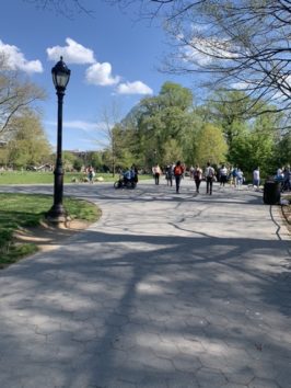 prospect park