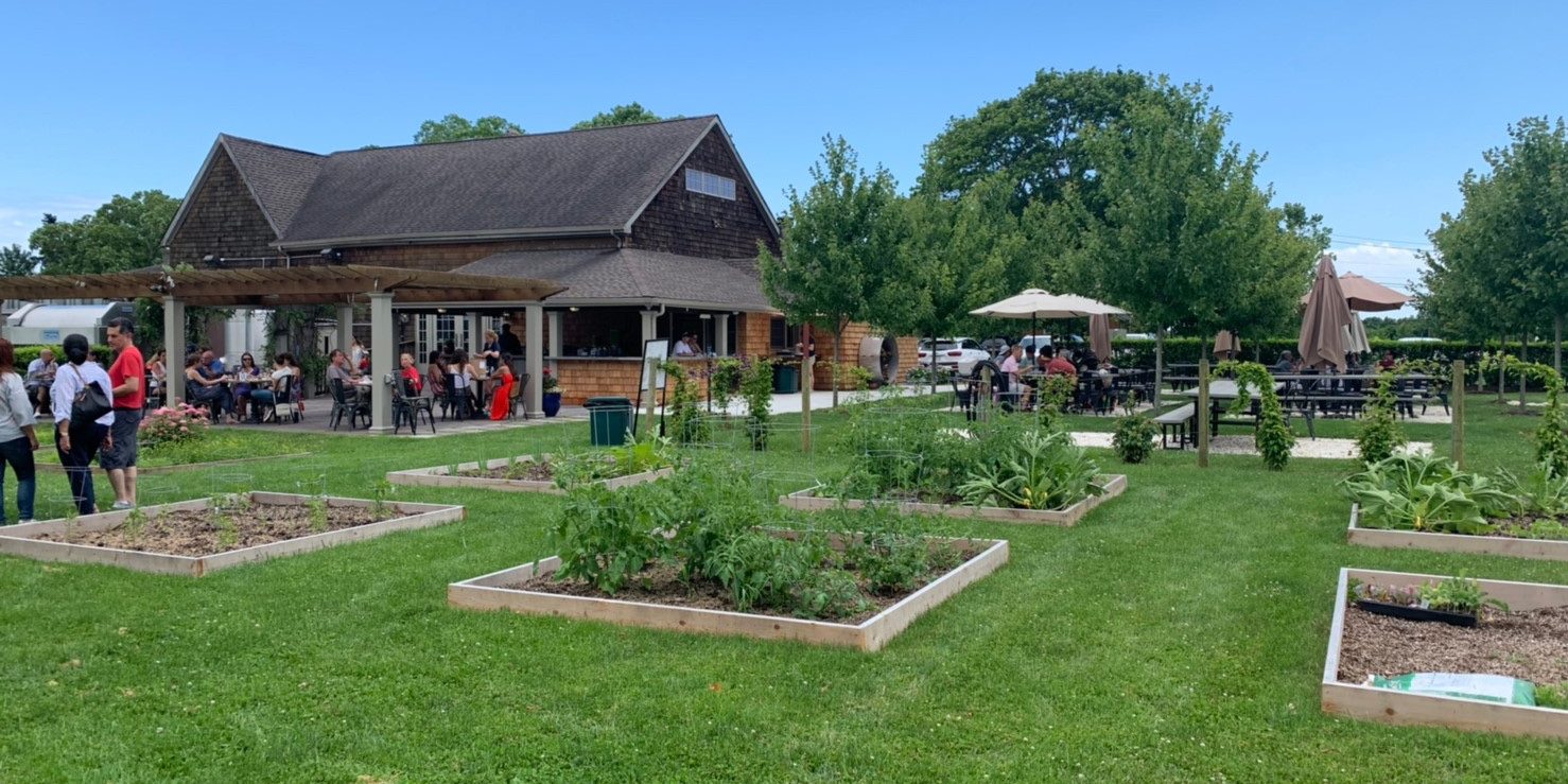 winery winery