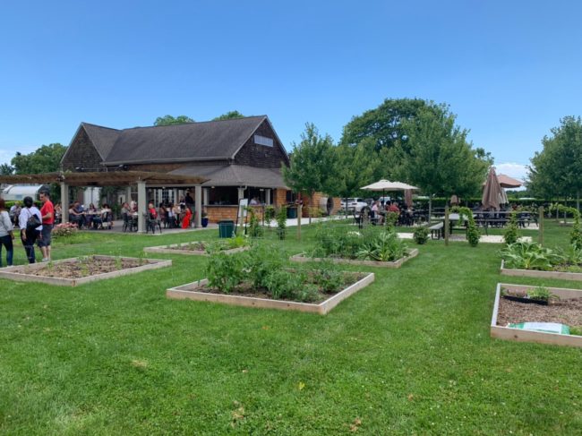 winery