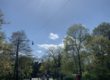 prospect park
