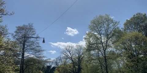 prospect park