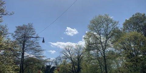 prospect park