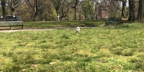 prospect park