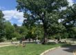 prospect park
