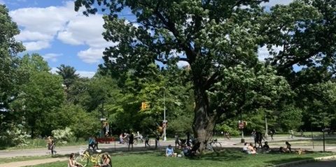 prospect park