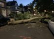 storminnyc