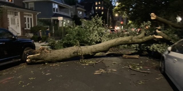 storminnyc